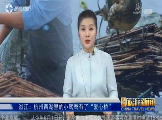 <b>浙江：杭州西湖里的小鸳鸯有了“爱心桥”</b>