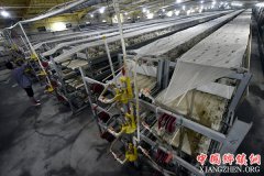 <b>山东郯城：“智能养鸡”助农脱贫</b>