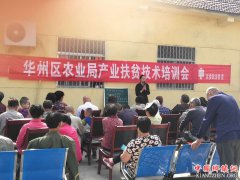 <b>陕西：华州区杏林镇为贫困户进行产业技术培训</b>