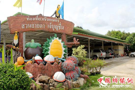 在罗勇府一个经营了几十年的亚达果园，种植了200多榴莲树，曾获得泰国工业部颁发的旅游业金奖、被罗勇府列为必去的50个景点之一。记者孙广勇摄