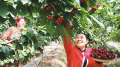 让农民成为有奔头有尊严的“绿领”