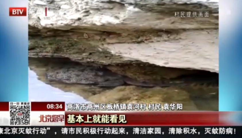 陕西商洛：发现罕见特大娃娃鱼 警民联合救助放生