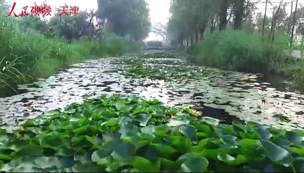 <b>农家乐富了一个村</b>