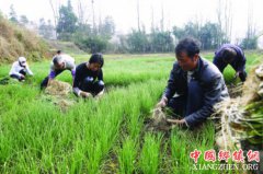 <b>产业革命“春意闹” 奏响绿色“富民曲”</b>