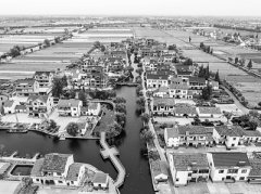 <b>乡村振兴：治理有效如何实现</b>