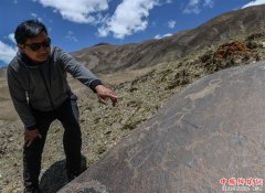 <b>青海玉树称多县发现大批岩画</b>