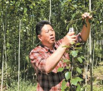 <b>李向军：不信沙地不长绿</b>