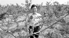 <b>杨良杰：当好专家“二传手” 培养果农明白人</b>