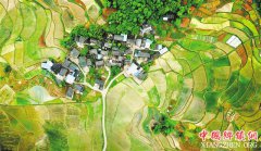 <b>重庆梁平：美丽田园生机盎然</b>