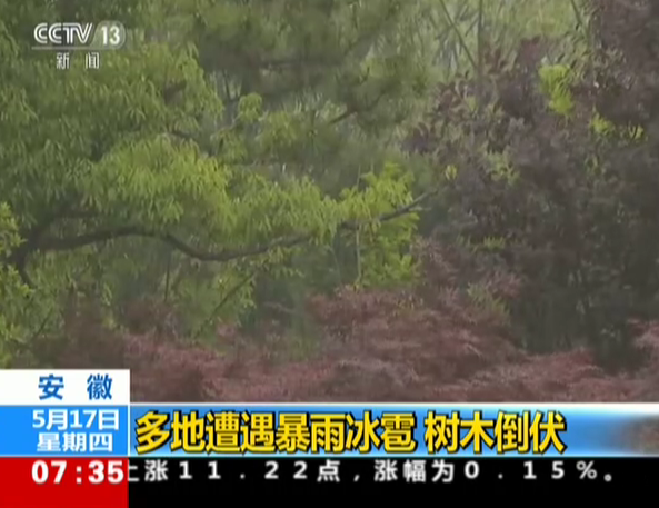 <b>安徽：多地遭遇暴雨冰雹  树木倒伏</b>