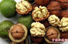 <b>每天吃核桃防心脏病和肠癌</b>