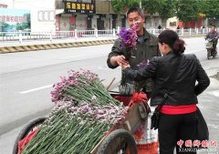 <b>山东郯城：干花走俏街头扮靓生活</b>