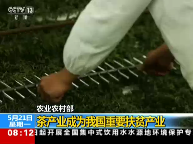 农业农村部：茶产业成为我国重要扶贫产业