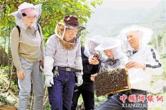 <b>浙江：龙泉“甜蜜产业”助农增收</b>