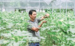 <b>2018财政支农投入力度持续加大 精度大幅提高</b>