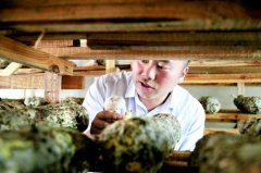 <b>也利村从“空壳村”变“实心村”</b>