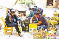 <b>重庆奉节：晚熟脐橙 促农增收</b>