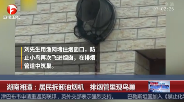 <b>湖南湘潭：居民拆卸油烟机  排烟管里现鸟巢</b>