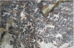 <b>浙江永嘉现“假化石” 或形成于亿年前具观赏价值</b>