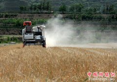 <b>陕西夏收启幕</b>