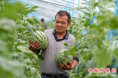 <b>江西：现代设施农业助力农民致富增收</b>