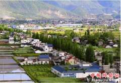 <b>广西乡村振兴三年行动计划拟投资3900多亿元</b>