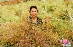 <b>“非遗”传承人罗丽江 延续古法木榨菜籽油老味道</b>