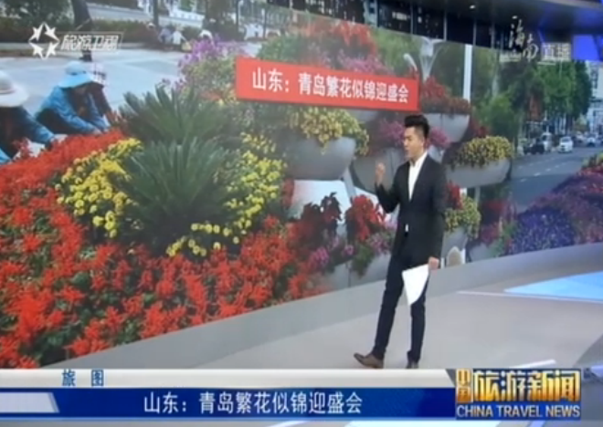 <b>山东：青岛繁花似锦迎盛会</b>