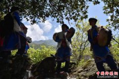 <b>“绿色蝶变”让贫困山村迈向振兴</b>