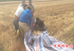 <b>陕西莲花寺镇：微风吹来金黄色的麦浪</b>