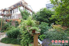 <b>浙江：莫干山民宿助推乡村振兴</b>