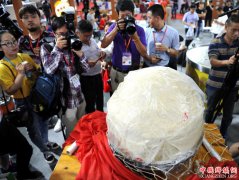 <b>福州现256.6斤重大鱼丸 创下世界纪录</b>