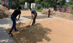 <b>陕西：莲花寺镇党员先锋行  宗旨记心间</b>