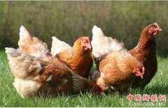 <b>养殖用地不用愁！国土资源部力挺中国养殖业！</b>