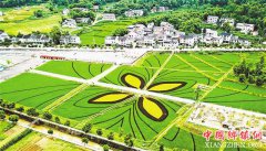 <b>重庆梁平：彩色水稻“绘”美田园</b>