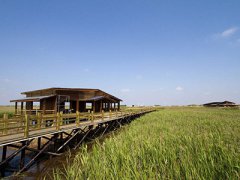 上海嘉定安亭推进美丽乡村精品村建设