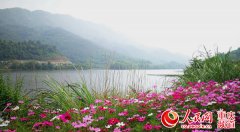 <b>铜梁：河长制让108面“明镜”辉耀山乡</b>