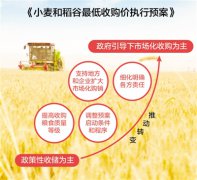 <b>最低收购价执行预案解读：小麦稻谷怎么收</b>