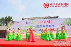 <b>“恋乡小镇”成为遵化特色小镇新亮点</b>