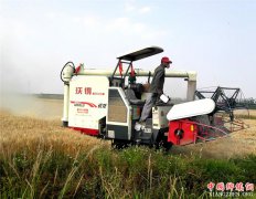 <b>山东郯城：农机“配对联姻”收耙1+1得民心</b>