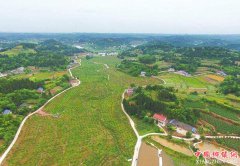 <b>资阳聚焦短板探方向 实施三大行动推进乡村振兴</b>