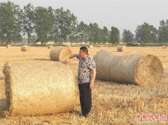 <b>山东郯城：秸秆回收利用好  赚钱生态又环保</b>