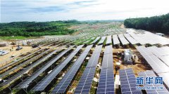 <b>白沙：光伏板下种新果 甜了群众富了产业</b>