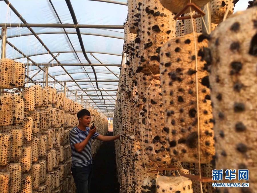 （新华全媒头条·图文互动）（6）唱响新时代的乌苏里船歌——通往振兴之路的黑龙江边境特色乡村建设纪实