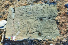 <b>三江源通天河流域发现两千年前岩画</b>