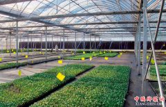 <b>“区块链+”给农业信息化带来新空间</b>