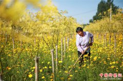 <b>河北内丘：美丽乡村建设助推乡村振兴</b>