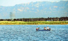 <b>运城市永济市：大力发展特色渔业和休闲渔业</b>