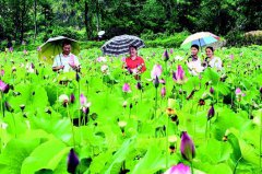 <b>湖北咸宁：2020年建设100个美丽示范村</b>