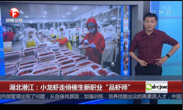 湖北潜江：小龙虾走俏催生新职业“品虾师”